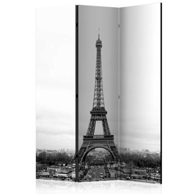 Sobna pregrada u 3 dijela Paris: black and white photography 135x172