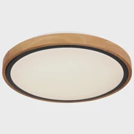 GLOBO LED stropna svjetiljka BRUNO 41764-12