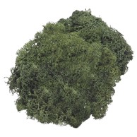 KNORR PRANDELL Umjetna mahovina 21-6694462, 50 g, zelena