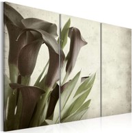 Slika callas vintage 120x80