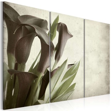 Slika callas vintage 120x80