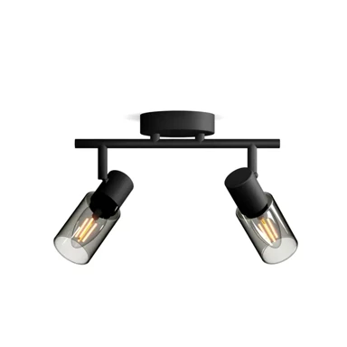 Stropni/zidni reflektor, Palms, 2x25W, crna