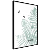 Poster Pale Green Fern 30x45