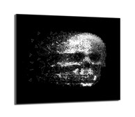 TMK Staklena zaštita za štednjak ili ploču za kuhanje 60 x 52 cm, lubanja