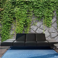Foto tapeta Green wall 100x70