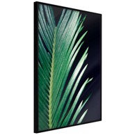 Poster Soothing Green 30x45
