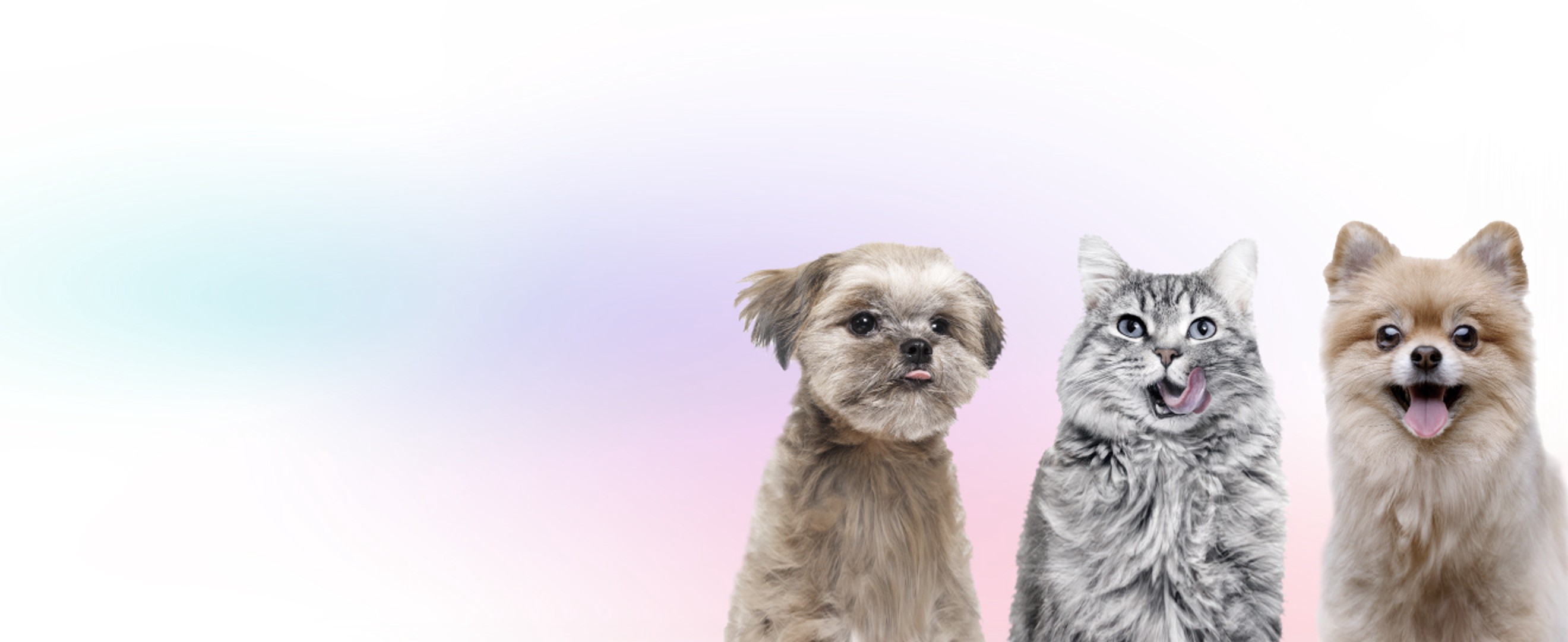 koreqt-prona-i-usporedi-i-donesi-najbolju-odluku-za-sebe