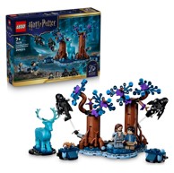 LEGO HARRY POTTER Konstruktorski set 76475 Zabranjena šuma: Expecto Patronum