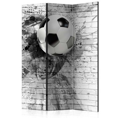 Sobna pregrada u 3 dijela Dynamic Football 135x172