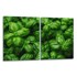 Zaštitna ploča od stakla za štednjak Basil 40 x 52 cm, 2 kom.