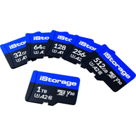 ISTORAGE Memorijska kartica, 256 GB, MicroSDXC, UHS-III, Class 10