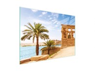 TMK Staklena zaštita za štednjak ili ploču za kuhanje 30x22, palme