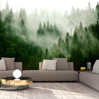 Foto tapeta Mountain Forest (Green) 400x280