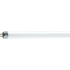 PHILIPS Fluorescentna žarulja TL Mini 4 W G5 6400 K