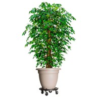 Kolica za biljke, 3 kom, promjer 40 cm, crna