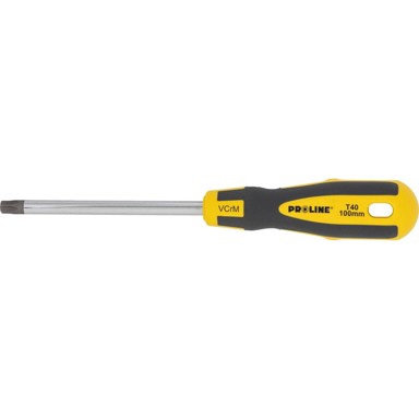 PROLINE Profesionalni T-odvijač Torx T40, s rupom, Soft Touch, 100 mm