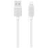 USAMS Kabel USB-A na Lightning, 1 m, 2,4 A, brzo punjenje