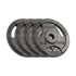 REBEL ACTIVE Utezi od lijevanog željeza, 4 x 5 kg, rupa 31 mm, ploča s ručkama