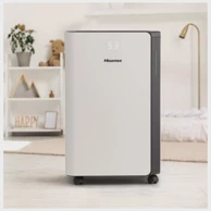 HISENSE Odvlaživač zraka D20CW