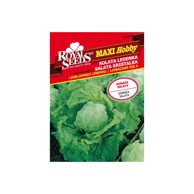 ROYAL SEEDS Sjeme povrća 50 salata ljubljanska ledenka