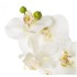 CASA SELECCION Umjetna biljka Orchid, visina 45 cm