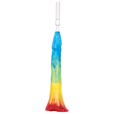 Praško za prašinu s drškom