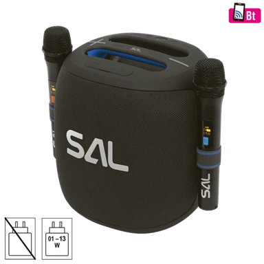 SAL Zvučnik bežični PARCUBE, s mikrofonom, Boombox, Bluetooth, 100W, IPX5