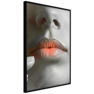 Poster Ombre Lips 20x30