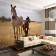 Foto tapeta Horse and foal 400x309