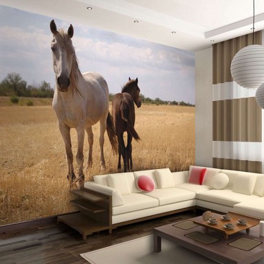 Foto tapeta Horse and foal 400x309
