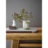 ILLUME X BLOOMINGVILLE Mirisna svijeća No. 1 Parsley Lime, 50 h