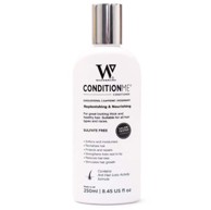 WATERMANS Regenerator Condition Me 250 ml