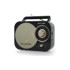 MUSE Prijenosni radio M-055RB