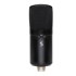 STAGG USB kondenzatorski mikrofon SUSM60D