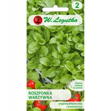 PLANTICO Kukuruzna salata Verte de Cambrai