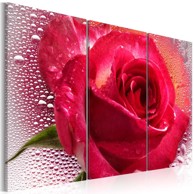 Slika Lady Rose triptych 120x80
