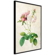 Poster Romance I 20x30