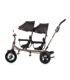 CHIPOLINO Tricikl 2Play, zlato