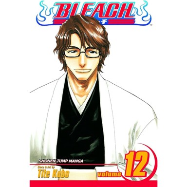 Bleach vol. 12