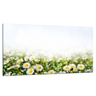 TMK ARTDEKO staklena zaštitna ploča za štednjak 90 x 52 cm, motiv cvijeće