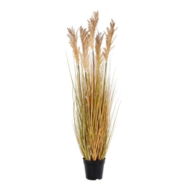 HOUSE NORDIC Umjetna trava Sorghum, visina 110 cm