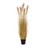 HOUSE NORDIC Umjetna trava Sorghum, visina 110 cm