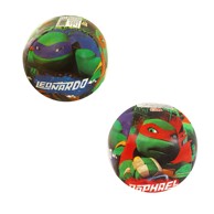 Lopta TMNT, 10 cm, mekana, 2s