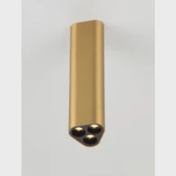 Stropni reflektor, Etho, NL9695158, LED, 6W, 459 lm, 3000K, IP20, zlatna