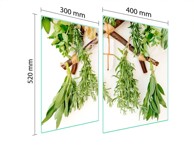 TMK Staklena zaštita za štednjak, 70x52 cm, začinsko bilje