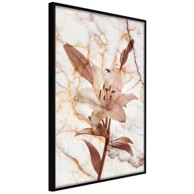 Poster Lily on Marble Background 30x45