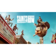 Igra za PC: Saints Row