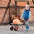 ROLLY TOYS Kolica metalna za djecu