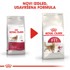 ROYAL CANIN FHN Suha hrana za mačke Fit 32, 2 kg