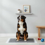 Jastučić za obuku ljubimaca, dimenzije 120 × 80 cm, jednobojni, 50 kom